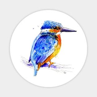 Kingfisher Magnet